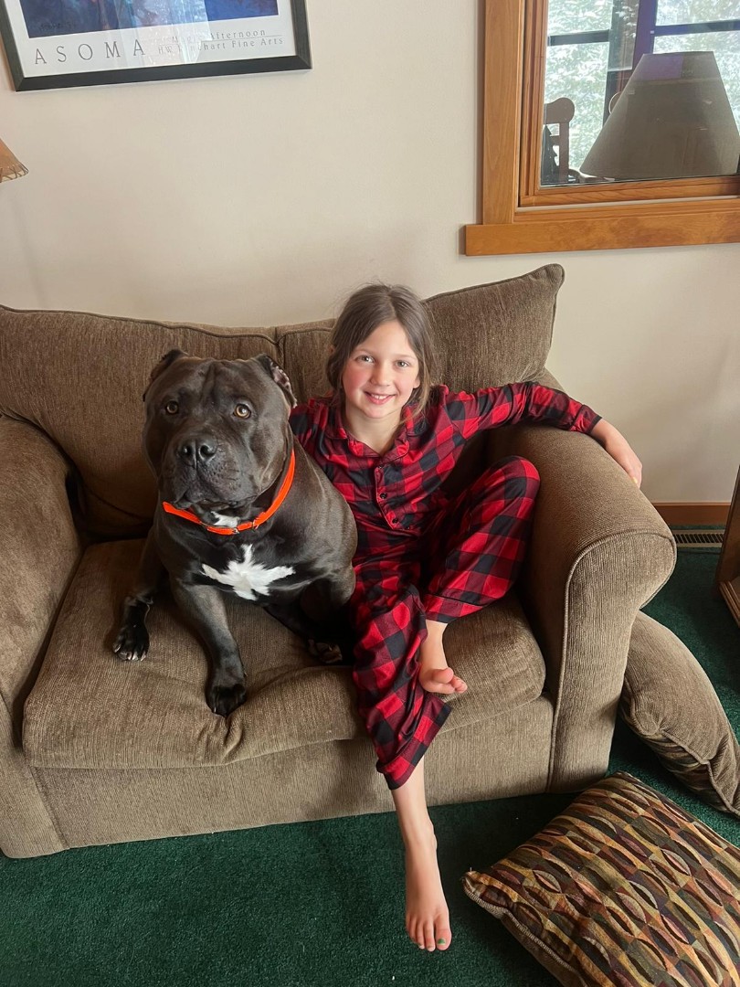 Resized_IMG-20230318-WA0001 family protection dog with kid on couch