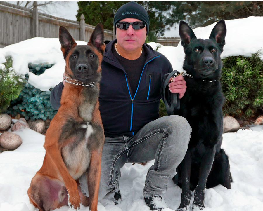 aboutk9 family protection dog training about page image https://testultk9.wordifysites.com
