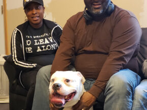 80020190601_110412 family protection dog with family