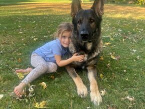IMG-20250806-WA0002_25243002632817 family protection dog with little girl