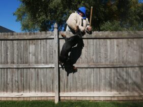family protection dog training https://testultk9.wordifysites.com