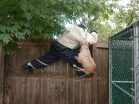 protection dog https://testultk9.wordifysites.com