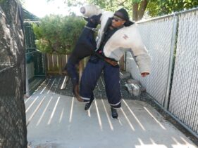 family protection dogs cudahy wisconsin https://testultk9.wordifysites.com
