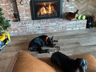 estate protection dogs by fireplace https://testultk9.wordifysites.com