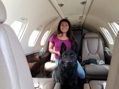 estate protection dog in airplane with woman https://testultk9.wordifysites.com