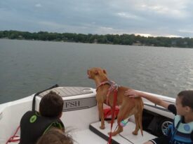family protection dog on boat with kids