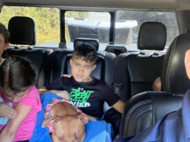 family protection dog in car with kid